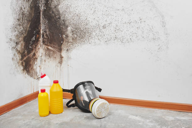 Best Mold Cleaning Services  in Blanchard, OK