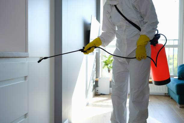 Best Home Mold Removal  in Blanchard, OK
