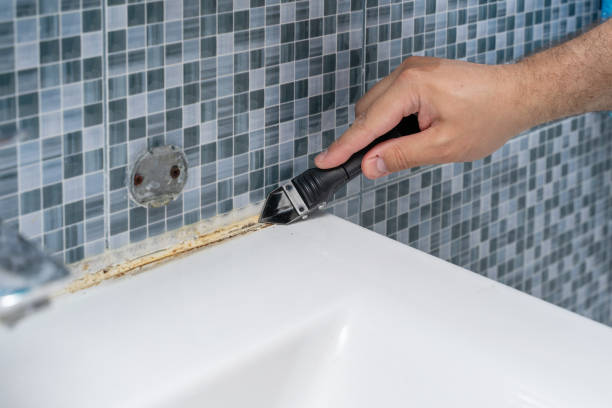 Best Same-Day Mold Removal  in Blanchard, OK