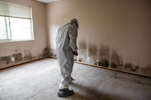 Best Professional Mold Removal  in Blanchard, OK